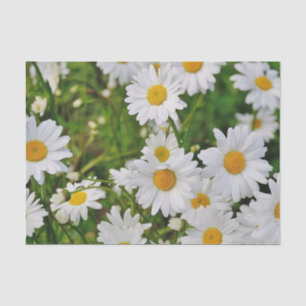Papel De Seda Mikitiez mini margarita blanca virgen de flor silv