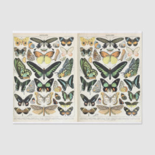 Papel De Seda Millot Butterflies