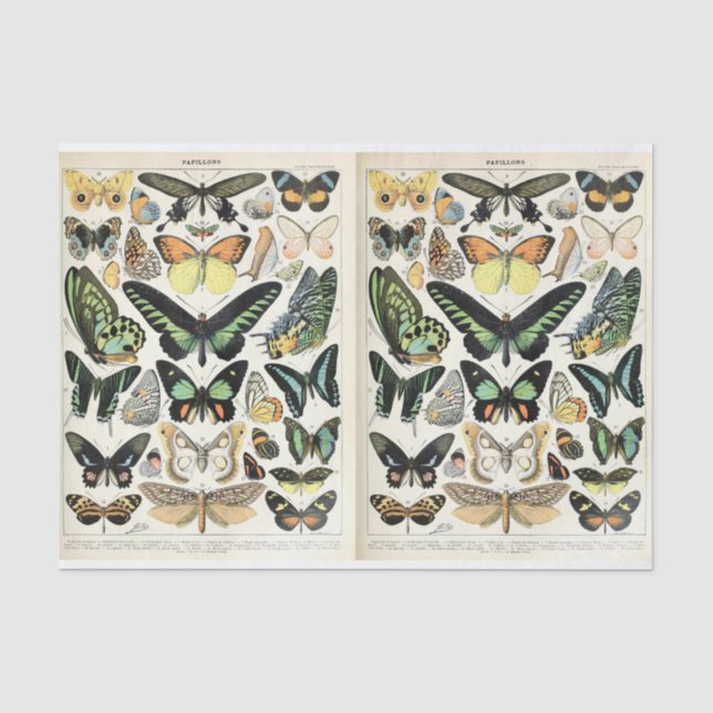 Papel De Seda Millot Butterflies (Anverso)