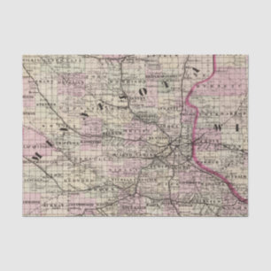 Papel De Seda Minnesota 9