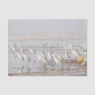 Papel De Seda Misty Sandhill Cranes