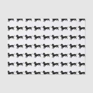 Papel De Seda Modelo de los Dachshunds