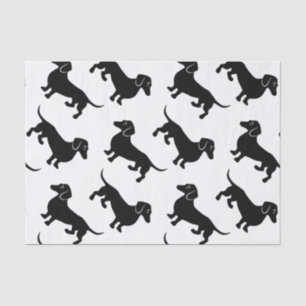 Papel De Seda Modelo negro lindo del Dachshund