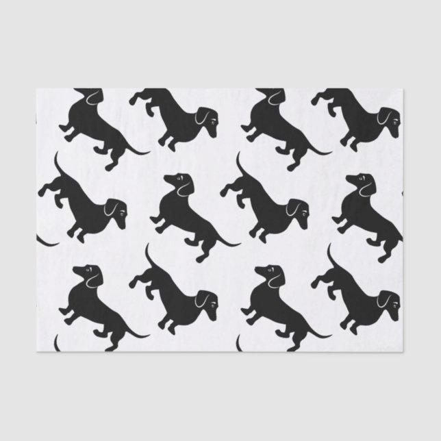 Papel De Seda Modelo negro lindo del Dachshund (Anverso)
