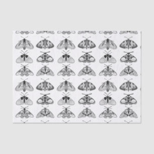 Papel De Seda Modos en gris, negro y blanco