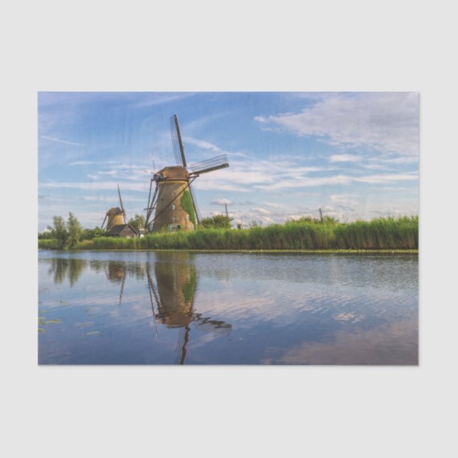 Papel De Seda Molinos de viento en Kinderdijk, Holanda (Anverso)