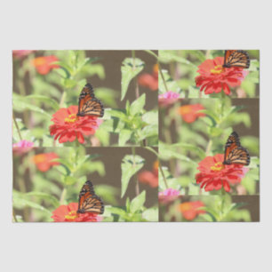 Papel De Seda Monarca de Octubre