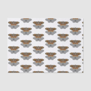 Papel De Seda Monograma de Brahmin Moth