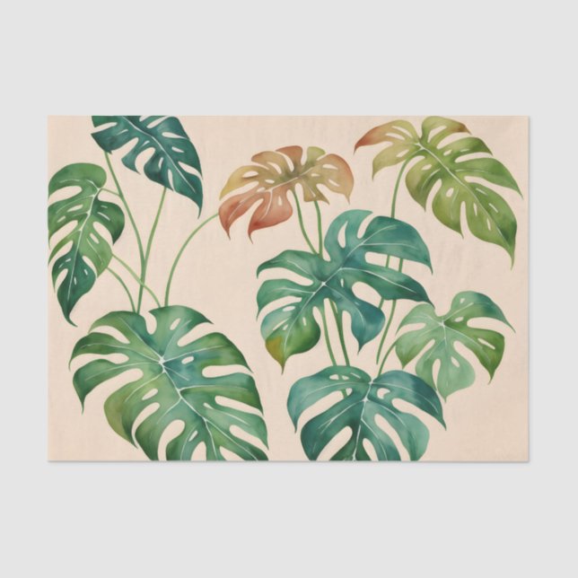 Papel De Seda Monstera Houseplant Boho Watercolor (Anverso)
