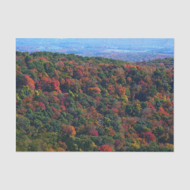 Papel De Seda Montañas Apalaches en otoño (Anverso)