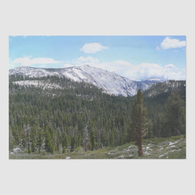 Papel De Seda Montañas Sierra Nevada II desde Yosemite (Anverso)