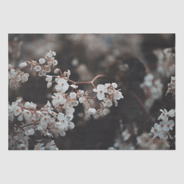 Papel De Seda Moody Floral  (Anverso)