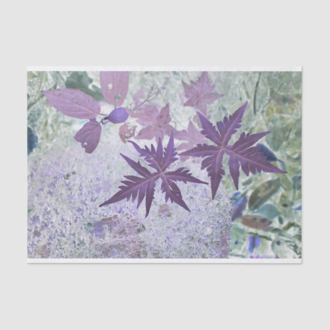 Papel De Seda Morado y heather tonos pastel (Anverso)