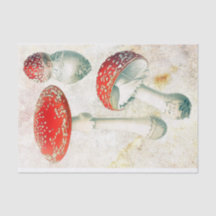 Morel de setas rojas descolorido fondo angustiado