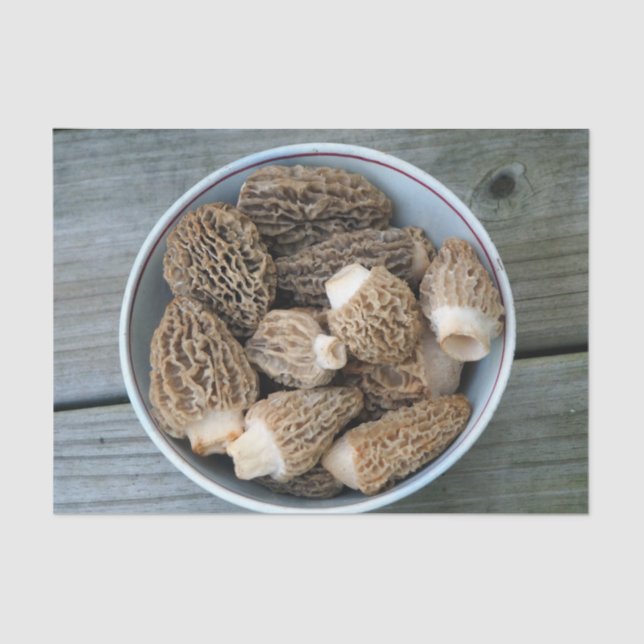 Papel De Seda Morel Mushrooms (Anverso)
