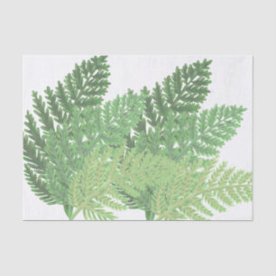 Papel De Seda Moss Green Fern