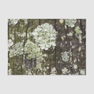 Papel De Seda Mossy Oak Trunk