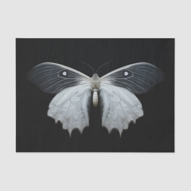 Papel De Seda Moth (Anverso)