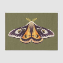 Papel De Seda Moth Insect Art Goblincore Saturnia Witchen Green