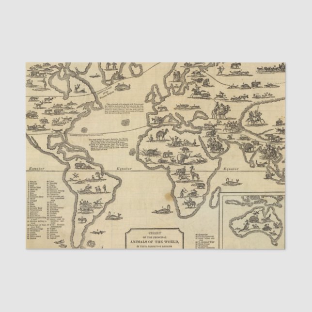 Papel De Seda Mundo de animales (Anverso)