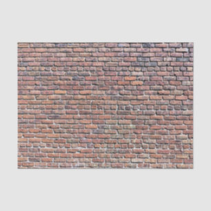 Papel De Seda Muro de ladrillo