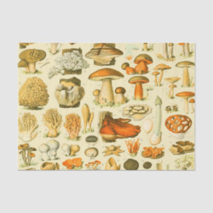 Papel De Seda Mushroom Vintage Toadstool Ilustracion antiguo