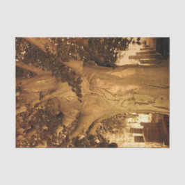 Papel De Seda Música de hoja antigua vintage cementerio sepia ár