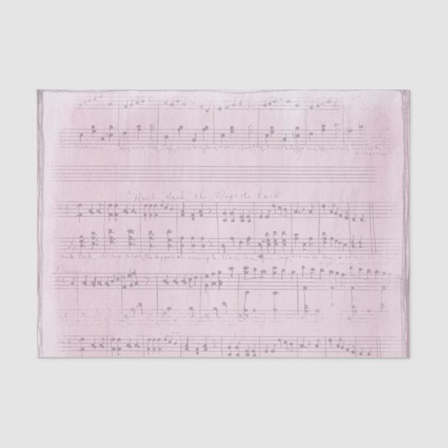 Papel De Seda Música de hoja en un fondo rosa suave (Anverso)