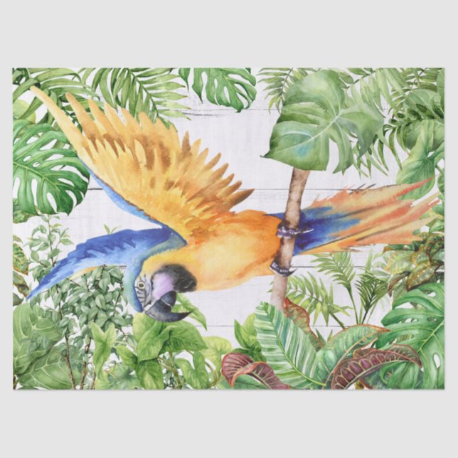 Papel De Seda Naranja acuarela loro azul (Anverso)