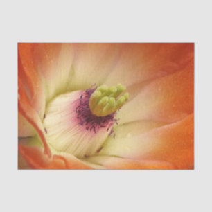 Papel De Seda Naranja Cactus Tejido de flores