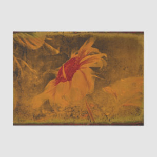 Papel De Seda Naranja Caída Sunflower Vintage Textura antigua