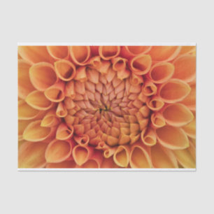 Papel De Seda Naranja central Dahlia Flower
