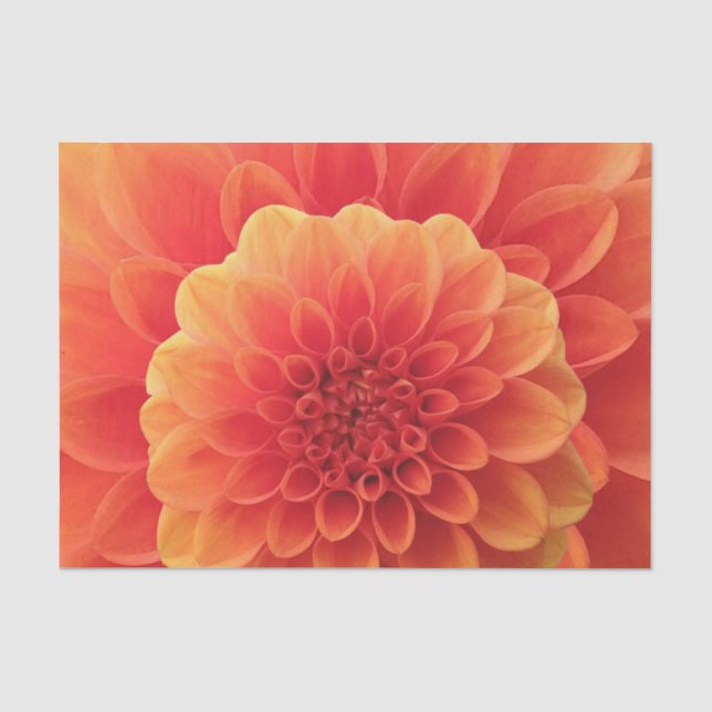 Papel De Seda Naranja Dahlia (Anverso)
