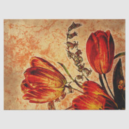 Papel De Seda Naranja Floral Grunge Tulip Decoupage