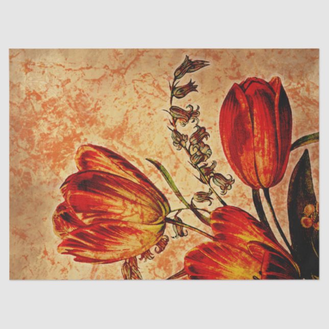 Papel De Seda Naranja Floral Grunge Tulip Decoupage (Anverso)