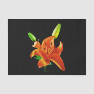 Papel De Seda Naranja Lily On Black