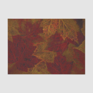 Papel De Seda Naranja Rojo Otoño Neon Dark Maple Leaves