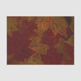 Papel De Seda Naranja Rojo Otoño Neon Dark Maple Leaves