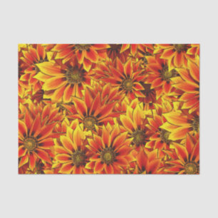 Papel De Seda Naranja Sunflowers