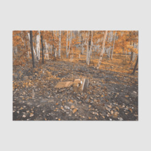 Papel De Seda Naranja vintage gótico deja cementerio de otoño