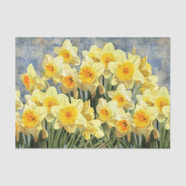 Papel De Seda Narcisos amarillos de la primavera rústicos (Anverso)