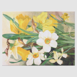 Papel De Seda Narcisos amarillos y papel seda blanco 17x23