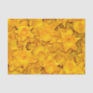 Papel De Seda Narcissus Flowers