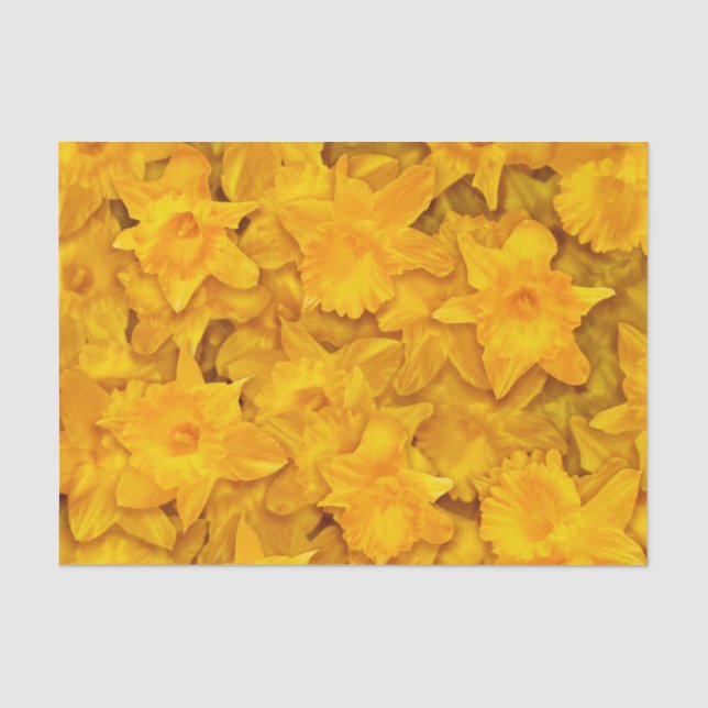 Papel De Seda Narcissus Flowers (Anverso)