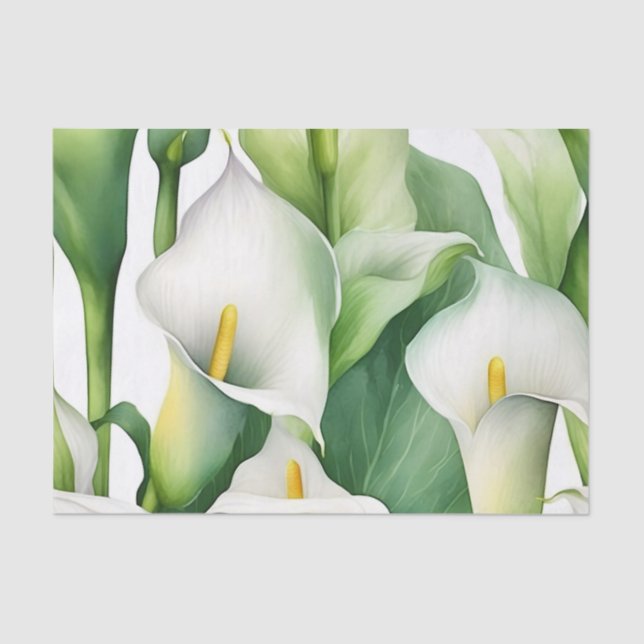 Papel De Seda Naturaleza de Calla Blanca Lily (Anverso)