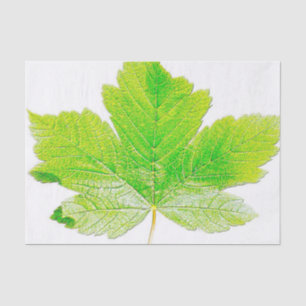 Papel De Seda Naturaleza verde de la hoja