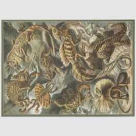 Papel De Seda Nature Lizard Ernst Haeckel Decoupage