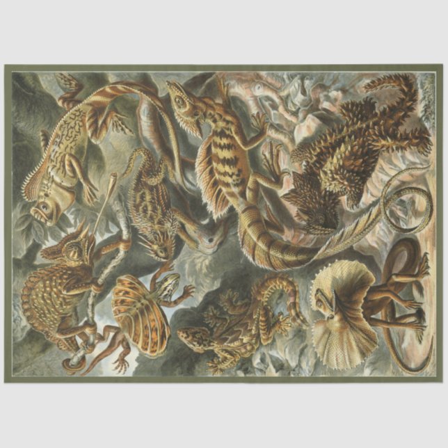 Papel De Seda Nature Lizard Ernst Haeckel Decoupage (Anverso)