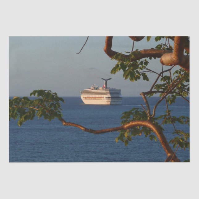 Papel De Seda Navegar en las vacaciones de crucero Sunset I (Anverso)