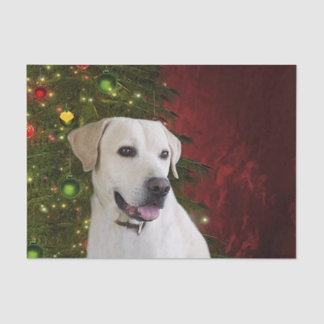 Papel De Seda Navidad amarillo del labrador retriever (Anverso)